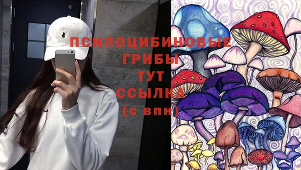 гидропоника Козельск