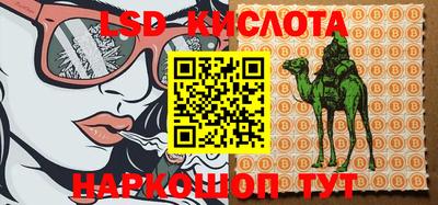 стафф Камышлов