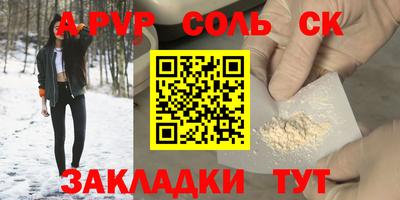 стафф Камышлов