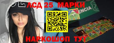 стафф Камышлов