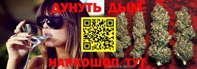 стафф Камышлов