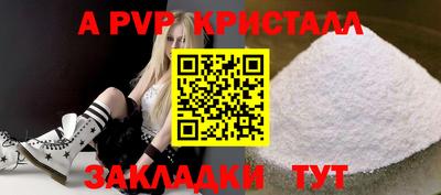 стафф Камышлов