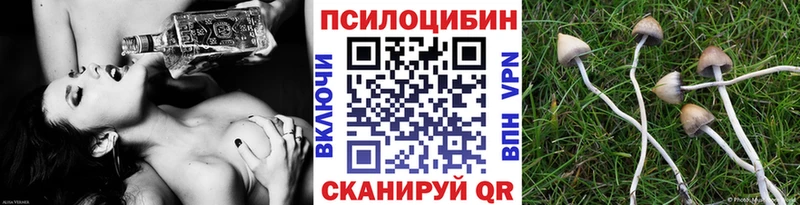 Галлюциногенные грибы Psilocybe  как найти   Кудрово 