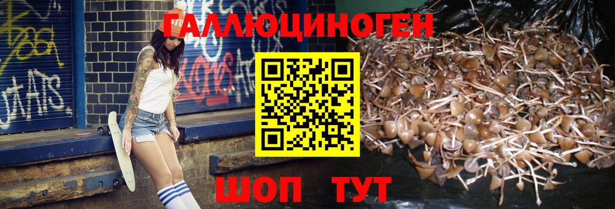 Псилоцибиновые грибы прущие грибы  что такое наркотик  Псилоцибиновые грибы MAGIC MUSHROOMS  Кудрово  Вход с VPN 