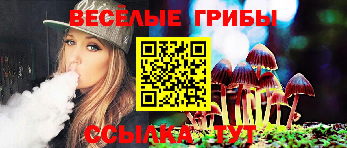 Галлюциногенные грибы мицелий Кудрово