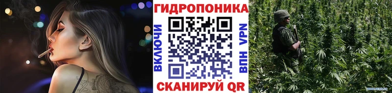 Бошки Шишки гибрид  мега как войти  Кудрово 